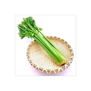 榨汁大颗西芹新鲜