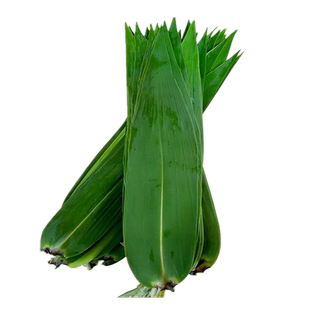 粽叶新鲜野生粽子叶