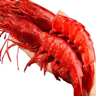 超大红魔虾刺身鲜活