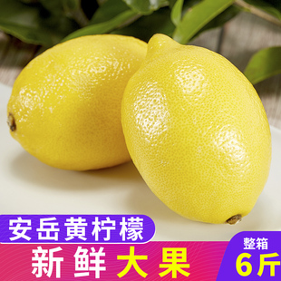 四川安岳柠檬整箱6斤新鲜水果皮薄