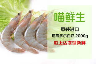 喵鲜生-厄瓜多尔 白虾(2kg )