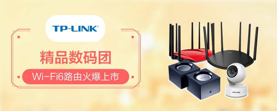 TP-LINK是全球领先的网络设备品牌。1996年成立以来，坚持自主研发、制造、营销，整合优质资源，致力于为大众日益增长的网络需求，提供高品质、高性能价格比的产品。