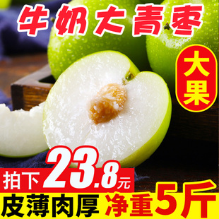 台湾脆甜牛奶枣大青枣水果包邮5斤