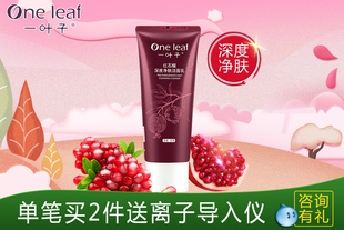 【单笔买2件送导入仪】一叶子红石榴深度净肤洗面奶135G