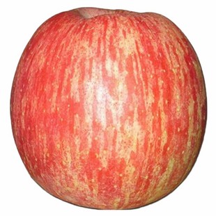 新鲜苹果水果陕西延安水晶当季红富