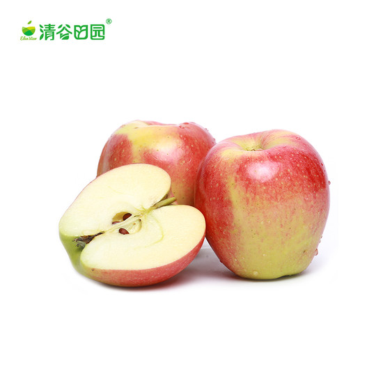 【清谷田园旗舰店】 艾芙苹果10斤 荷兰嘎啦品种(每个id限购2件)