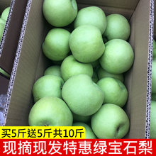 绿宝石青皮梨子新鲜10斤