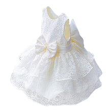 Children's Lace Princess dress baby's first birthday dress