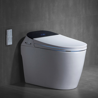 德国陶尔曼智能马桶家用多功能电动