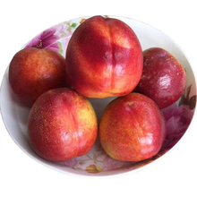 Shanxi Huangxin nectarine fresh fruit 5 jin pick crisp peach should season pregnant fruit