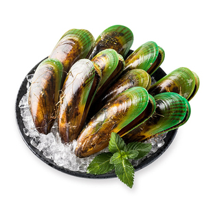 新西兰活青口贝800g