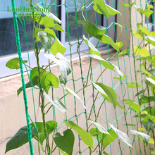 家用园艺网 黄瓜攀爬植物爬藤网加强版尼龙园艺用品