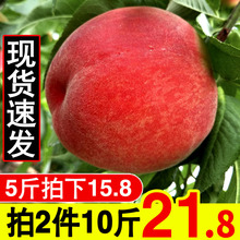 10斤21.8 现货速发 新鲜桃子水蜜桃