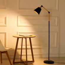 落地灯现代简约LED护眼钓鱼灯遥控创意北欧客厅卧室