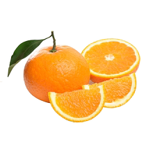 四川青见柑橘10斤当季时令新鲜水果现摘大果蜜桔丑橘